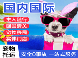 玉龙机场货运国际宠物托运 【国